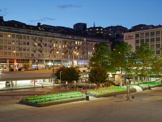 joergboner pickup flowers lausanne jardins